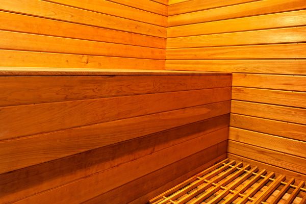 Infrared Sauna Therapy at Your Vitality